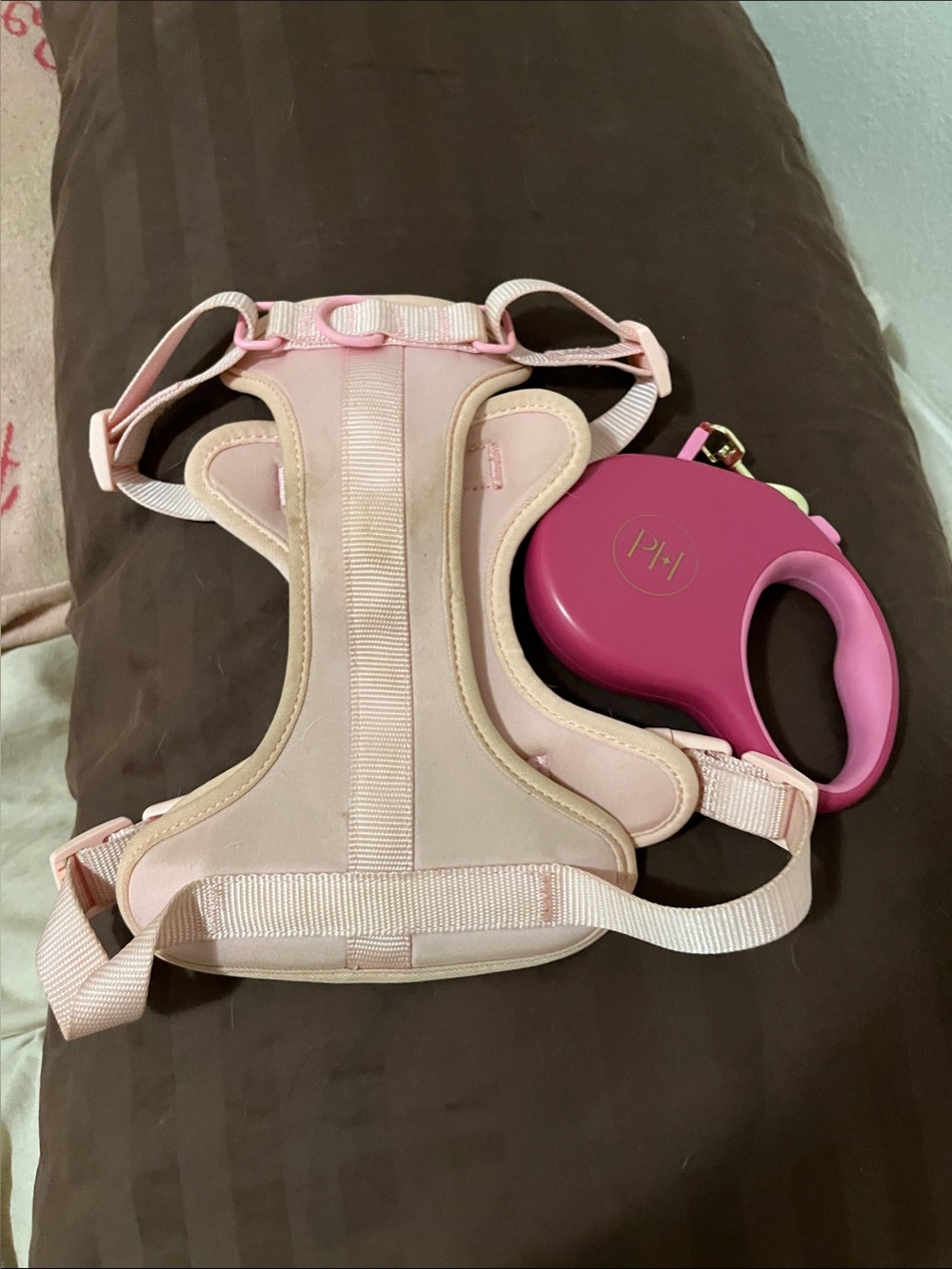 Dog Walks: Pink Harness & Retractable Leash Set 🐶💗